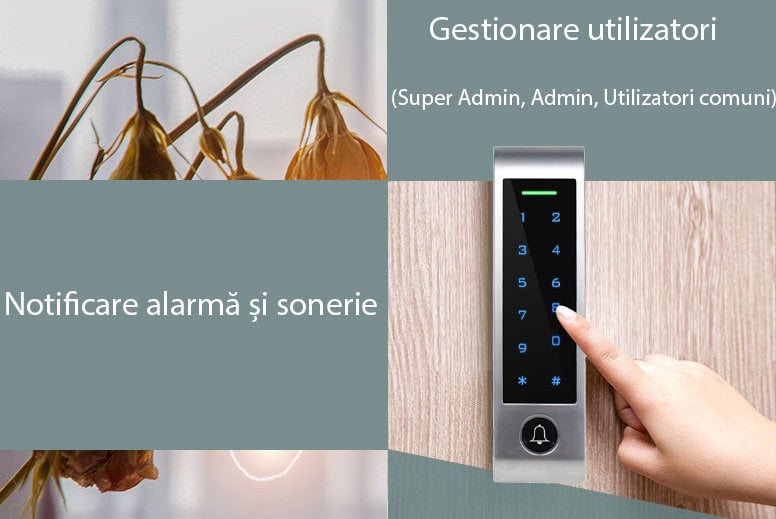 gestionare utilizatori